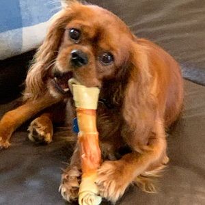 Meet your Posher, Jodie